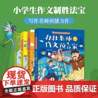 壮壮老师的作文故事书全4册 何捷老师的书6-7-10-12岁少儿童文学故事书儿童读物小学生一二三四五六年级课外阅读书籍经