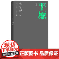 平原毕飞宇著毕飞宇文集现当代文学长篇小说人民文学正版