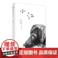 魔法象 小江 〔韩〕苏西·李/著 启蒙认知 艺术启蒙 日常认知 艺术审美 4~6岁 社会 语言 科学 艺术 广西师范大