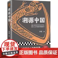 溯源中国(填补传说时代的历史空白,揭开上古中国的神秘面纱!二里头考古队前队长、考古界明星学者许宏重磅新作!)