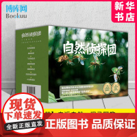 自然侦探团 全套7册 虫子的痕迹/蝉的秘密/飞行的虫子/蜻蜓的秘密/蛙蛙探险记/欢迎光临花餐厅/叶子科学馆 自然教育读本