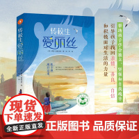 转校生爱丽丝 国际经典心理关爱系列 感人至深的心理关爱暖心佳作 帮助孩子学会独立坚强和自我疏解《和海鸥对话的男孩》姊妹篇
