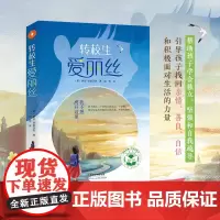 转校生爱丽丝 国际经典心理关爱系列 感人至深的心理关爱暖心佳作 帮助孩子学会独立坚强和自我疏解《和海鸥对话的男孩》姊妹篇