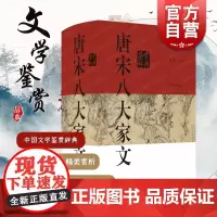 唐宋八大家文鉴赏辞典 中国文学鉴赏辞典大系上海辞书出版社古典散文古诗词