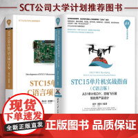 正版书籍 开发者书库书籍全两册 STC15单片机C语言项目开发+STC15单片机实战指南 C语言版 从51单片机DIY四