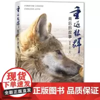 重返狼群背后的故事 李微漪//红娟 著 纪实/报告文学文学 正版图书籍 海南出版社