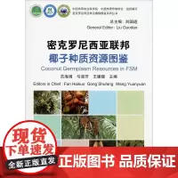 密克罗尼西亚联邦椰子种质资源图鉴 范海阔,弓淑芳,王媛媛 等 编 园艺专业科技 正版图书籍 中国农业科学技术出版