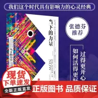 当下的力量 白金版 新世界作者埃克哈特托利 白金版 活在当下修炼当下的力量 成功励志终身成长珍藏版 中信出版社