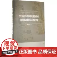 节理岩体破坏过程模拟及参数确定方法研究 林兴超 著 冶金工业专业科技 正版图书籍 中国水利水电出版社