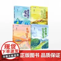 郑渊洁童话四部曲(套装四册) 郑渊洁 著
