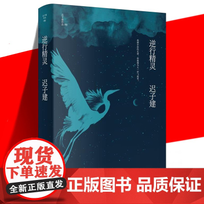 正版 逆行精灵 迟子建作品 茅盾文学奖鲁迅文学奖 绘制作家不断探索并超越自我的创作历程 当代文学短篇小说故事集书 作家