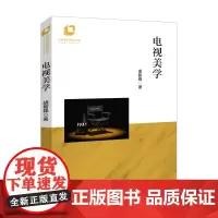 电视美学