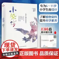 赠视频 小染坊 6-12岁儿童小学生课外阅读手工扎染启蒙图书中国传统文化科普读本扎染文化历史技法植物染料材料科学知识科普