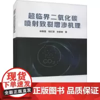 超临界二氧化碳喷射致裂增渗机理 宋维强,倪红坚,张俊明 著 冶金工业专业科技 正版图书籍 冶金工业出版社