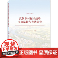 武汉乡村振兴战略实施路径与方法研究 王江萍,孙璐,王竞永 编 各部门经济经管、励志 正版图书籍 武汉大学出版社