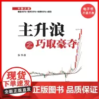 [电子书]主升浪之巧取豪夺