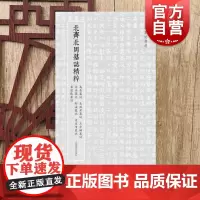 北朝墓志精粹:北齐北周墓志精粹 高岳墓志长孙彦墓志王令嬀墓志宋休墓志邢法墓志崔宣靖墓志崔宣默墓志上海书画出版社毛笔书法篆