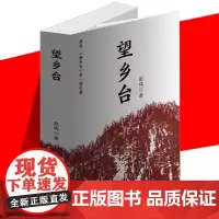 正版 望乡台 赵伟 描绘20世纪100年间在大山深处老官庙望乡台下四合院赵氏家族祖孙三代多舛命运的故事 当代文学长篇