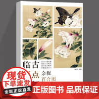 临古要点图解(余穉百合图玉兰图) 郑玲玲编绘 国画玉兰花临摹技法原大白描底稿工笔百合花卉画法步骤详解天津杨柳青画社