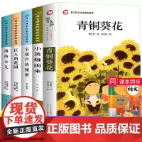 四年级下册阅读课外书全套5册 青铜葵花 小英雄雨来 宝葫芦的秘密 巨人的花园 海的女儿 4年级下阅读课外书书目