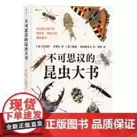 [正版]不可思议的昆虫大书(精)