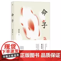 命子 董启章 中国文学当代文学作品综合集 文学书籍