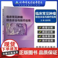 正版 临床常见肿瘤综合诊治与放疗应用 曲修胜 医药卫生书籍 肿瘤内科学 肿瘤内科诊治策略 中国纺织出版社978752