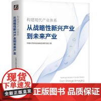 构建现代产业体系:从战略新兴产业到未来产业:from strategic emerging industry to fu