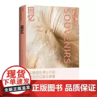 回忆 大卫·冯金诺斯 长篇小说法国现代 小说书籍