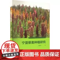 宁夏藜麦种植研究 温淑红 著 农业基础科学专业科技 正版图书籍 阳光出版社