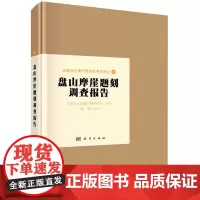 [正版]盘山摩崖题刻调查报告(精)/天津文化遗产保护成果系列