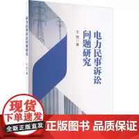 电力民事诉讼问题研究 王晓 著 诉讼法社科 正版图书籍 知识产权出版社