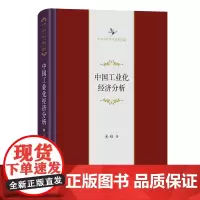 中国工业化经济分析 中华当代学术著作辑要 金碚 著 商务印书馆