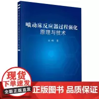 [正版]喷动床反应器过程强化原理与技术