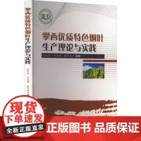 攀西优质特色烟叶生产理论与实践 张文友,尹福强,谢华英 编 农业基础科学专业科技 正版图书籍 西北农林科技大学出版社