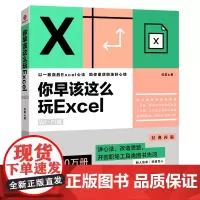 [正版]你早该这么玩Excel(WiFi版)