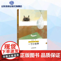 一寸小世界 萧萍儿童文学精品书系 8-9-10-12岁儿童文学读物四五年级六年级小学生青少版课外阅读书籍