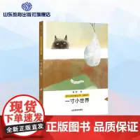 一寸小世界 萧萍儿童文学精品书系 8-9-10-12岁儿童文学读物四五年级六年级小学生青少版课外阅读书籍