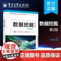 正版 数据挖掘(第2版)刘鹏 数据挖掘的理论、方法与应用 数据特征分析 电子工业出版社