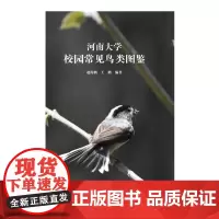 河南大学校园常见鸟类图鉴