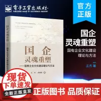 正版 国企灵魂重塑——国有企业文化建设理论与方法 王杰 国有企业文化建设 电子工业出版社