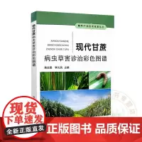 全新正版 现代甘蔗病虫草害诊治彩色图谱 黄应昆 李文凤主编 9787109305755 甘蔗病害诊断防治图鉴