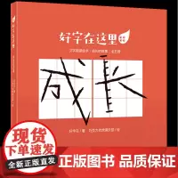 [正版]好字在这里(成长的故事共5册)