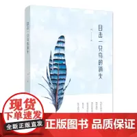目击一只鸟的消失
