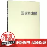素描(合情美学经典课程)