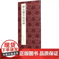 [正版]柳公权玄秘塔碑/中国历代碑帖丛刊