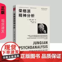 荣格派精神分析 加拿大 莫瑞斯坦 著 中国人民大学出版社9787300316253
