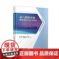 油气勘探突破典型案例分析与启示 孙冬胜 自然科学书籍