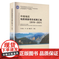 中南地区地质调查项目成果汇编(2019-2021) 万勇泉 自然科学书籍