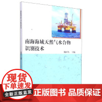 南海海域天然气水合物识别技术 鲍祥生 南海天然气水合物识别 自然科学书籍